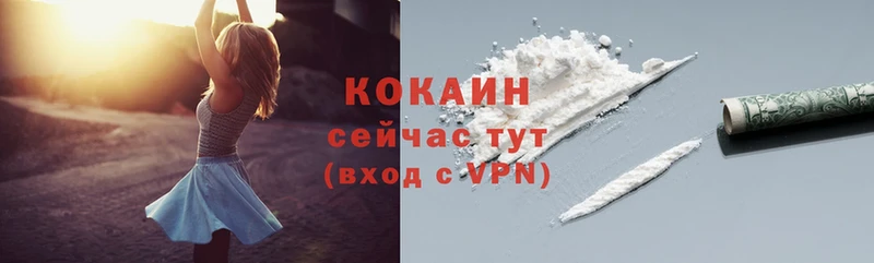 Cocaine 98%  купить закладку  Пошехонье 